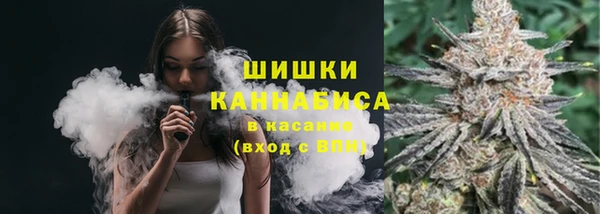 PSILOCYBIN Карталы