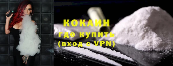PSILOCYBIN Карталы