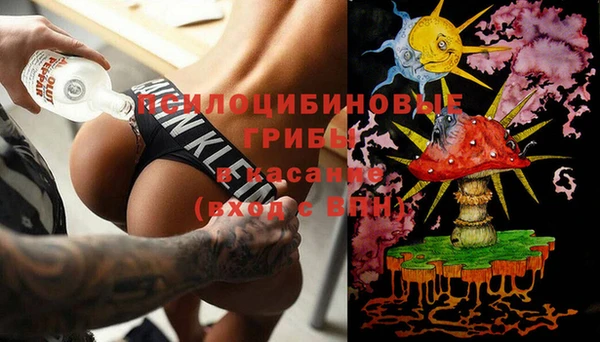 спайс Касимов