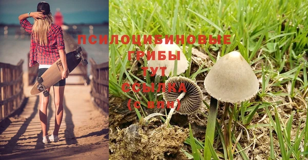 PSILOCYBIN Карталы