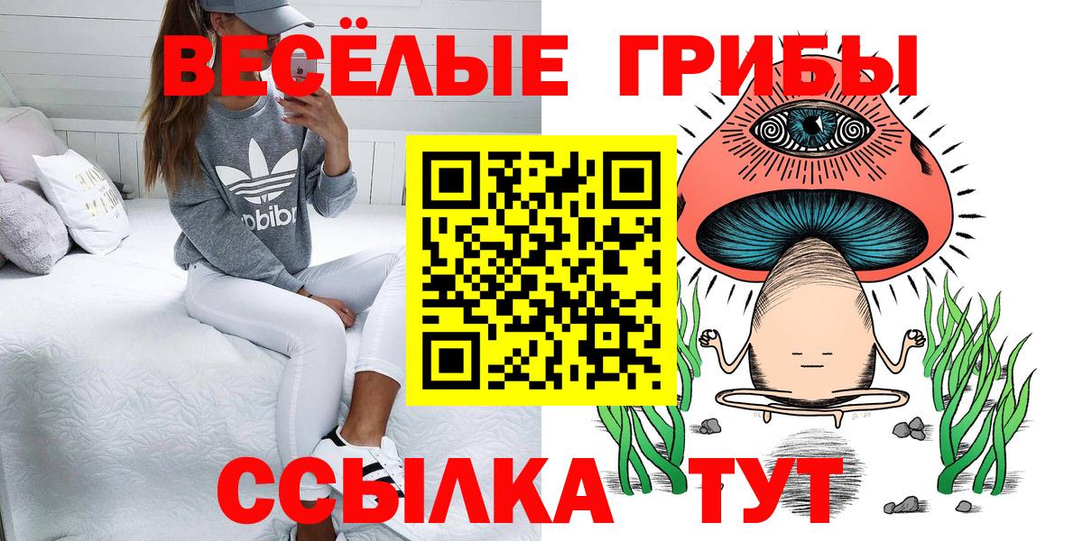 где продают   Кострома  Галлюциногенные грибы Psilocybine cubensis 