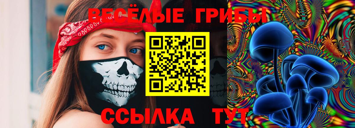 Кострома  Псилоцибиновые грибы прущие грибы  Вход с VPN 