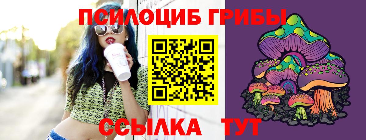 Псилоцибиновые грибы прущие грибы Кострома