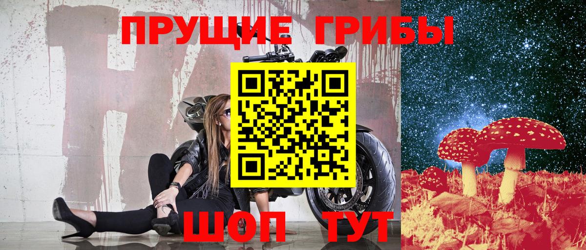 Галлюциногенные грибы Cubensis Кострома